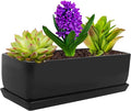 Vencer 14 Inch Rectangular Modern Minimalist Ceramic Succulent Planter Pot by Vencer