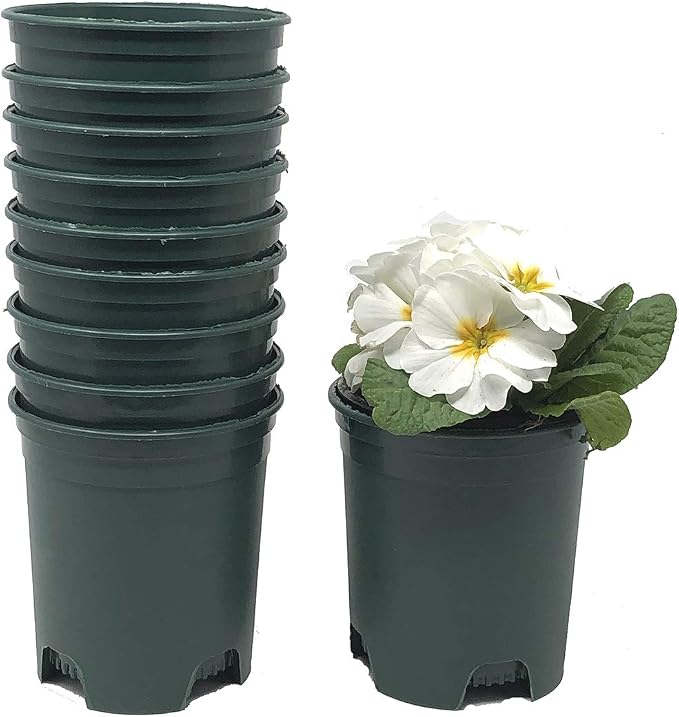 4 Inch Nursery Pot Green Plastic Planters by CottaPlanters