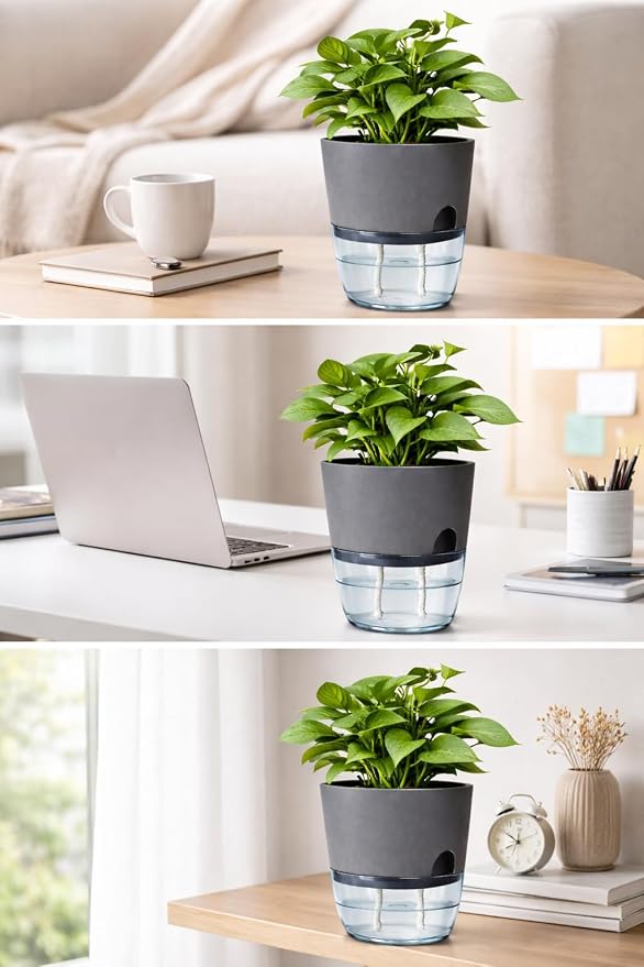 Self Watering Planter Pot with Upgraded Wick System – Modern Indoor Plant Pot - Image 2