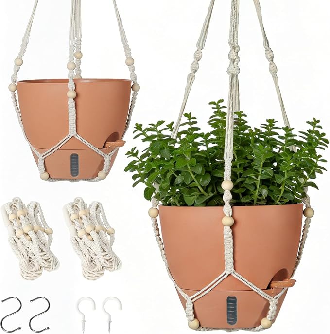 Self-Watering Hanging Planters for Indoor Plants Set 2-Piece Includes Plant by Unknown