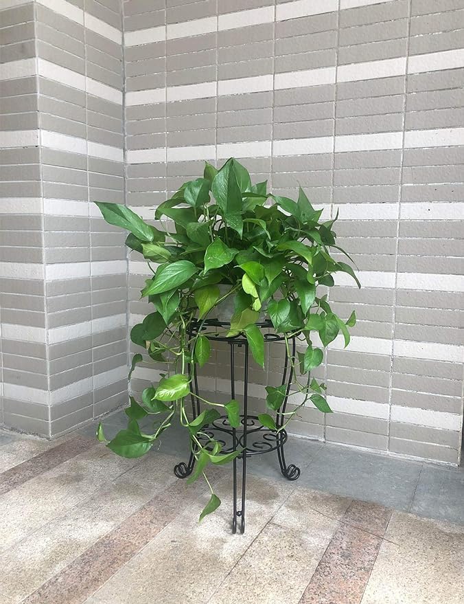 11.8 inches Diameter Tall Metal Plant Stand - Image 6