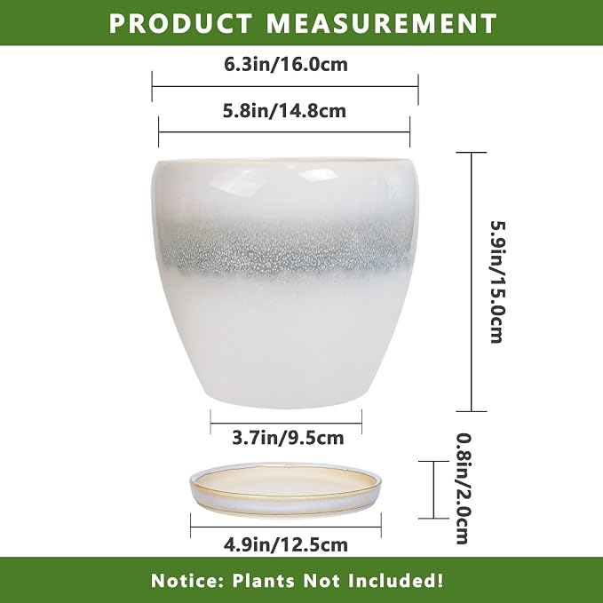 6.3 Inch Plant Pot - Image 3