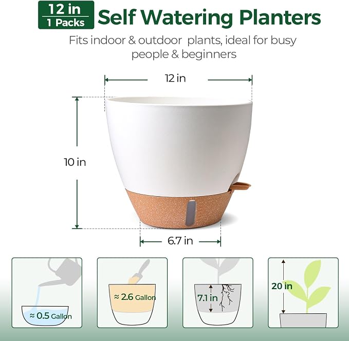 T4U 12 Inch Self Watering Pot - Image 3