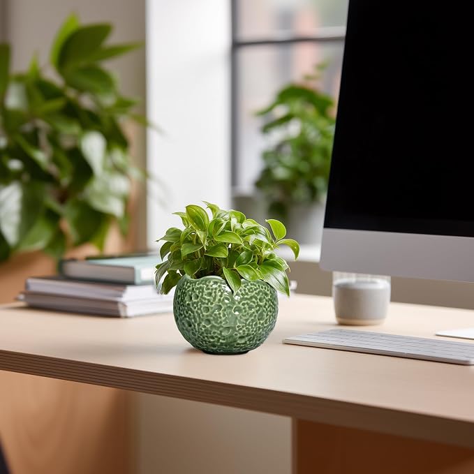 Ceramic Plant Pots - Image 3