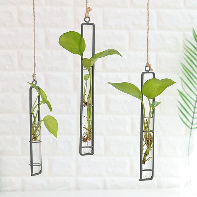 3 Pieces Hanging Glass Hydroponic Planter Transparent Test Tube Plant Vase - Image 5