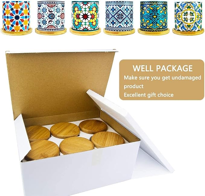 6 Pack Mandala Succulent Plant Pot - Image 6