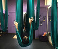 F.Life Aerial Silk Yoga Hammock & Swing by FLife