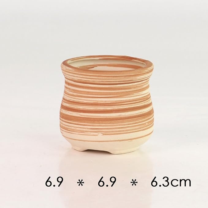 Sun-E 6 in Set 7.6 cm Ceramic Wooden Pattern Succulent Plant Pot Cactus Plant - Image 5