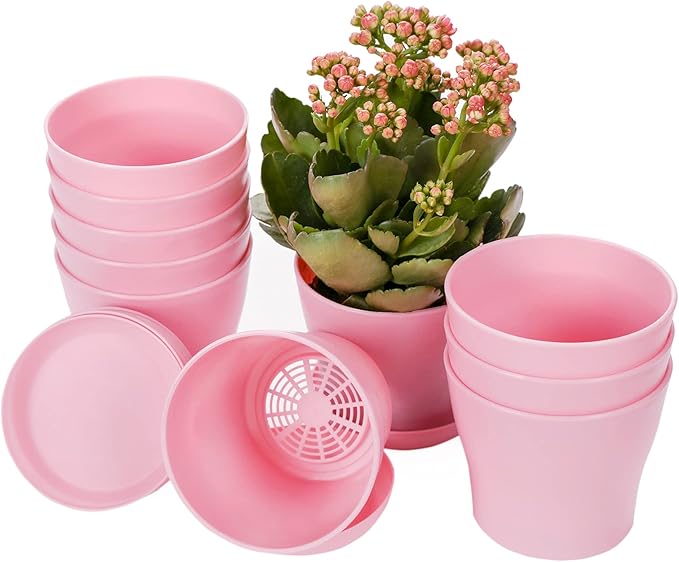 TDHDIKE 10 Pcs Plastic Planters Indoor Flower Plant Pots, Mini Flower Seedlings by TDHDIKE
