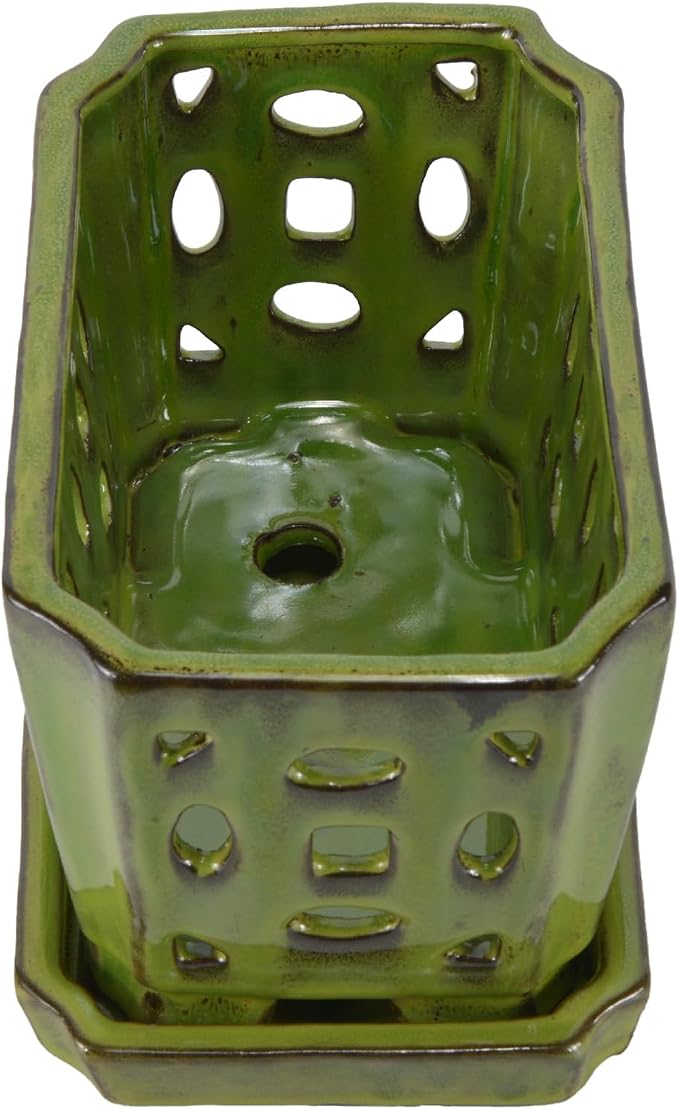 W&W Orchid Pot with Holes and Saucer - Image 4