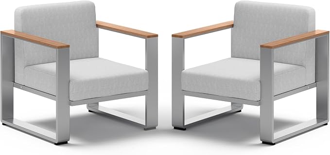 2 Pieces Outdoor Aluminum Armchair, Modern Patio Patio Furniture by ComfCove