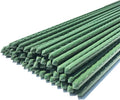 WAENLIR Garden Stakes 60 inch 5ft Sturdy Tomato Stakes, Plant Stakes by WAENLIR