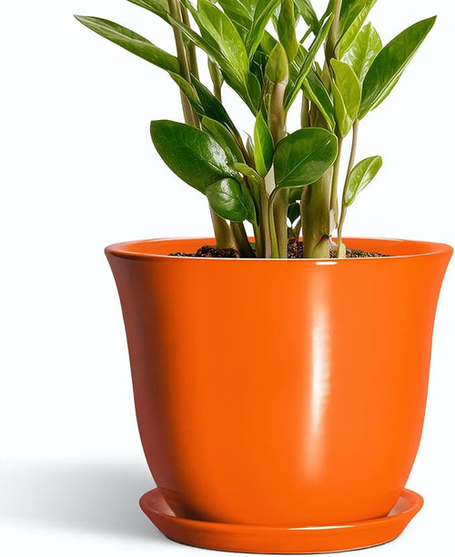 10 Inch Plant Pot by SUNPOTFOR