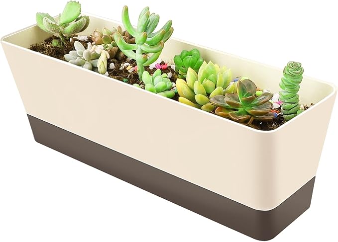 GREANER Planter Windowsill Box, 1 Pack 12x3.8 Inch Herb Rectangle Planter by GREANER