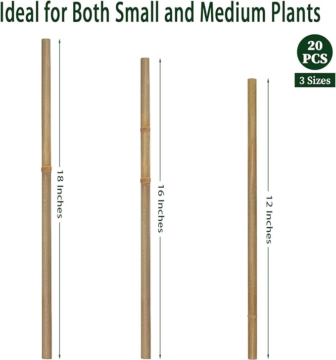 Plant Stakes, 12 Inches Natural Garden Bamboo Sticks, BOVITRO 20Pcs Plant - Image 3