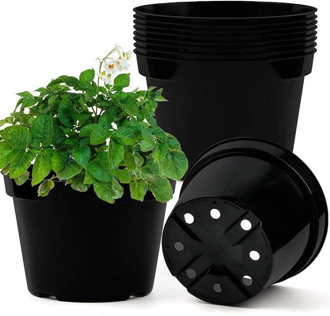 BTPLASTIK 8 Inch Plastic Plant Pots, 15 Pack Sturdy Nursery Pot by BTPLASTIK