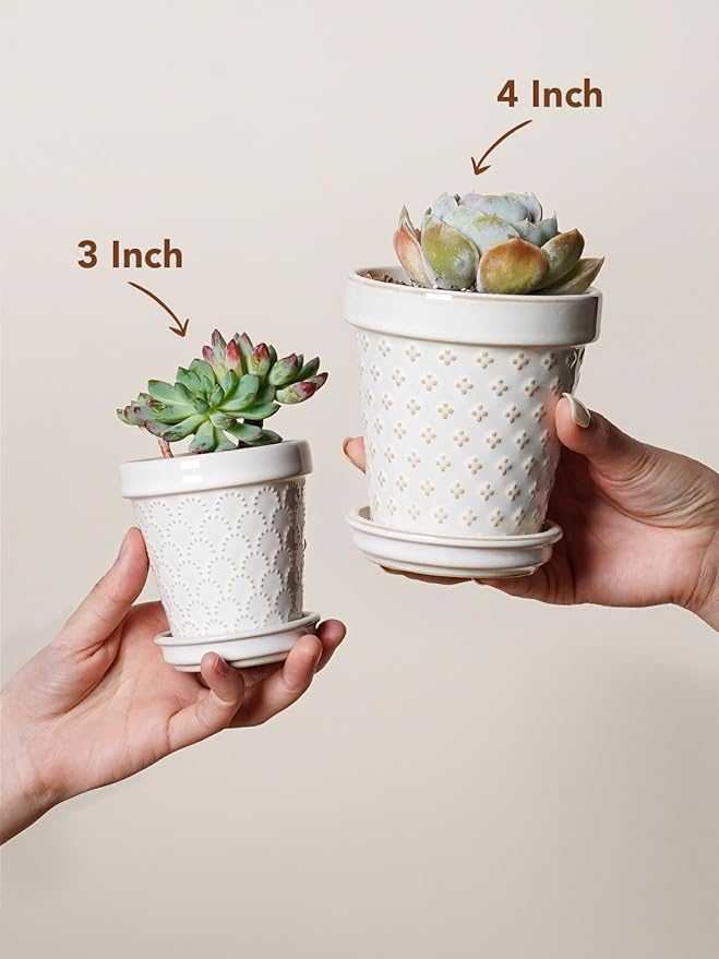 LE TAUCI Ceramic Succulent Pots, 4 Inch Small Plant Pot - Image 6