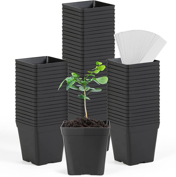 June Fox Square Nursery Pots 3.3 Inches Flexible Plastic Seedling Pots Square by June+Fox
