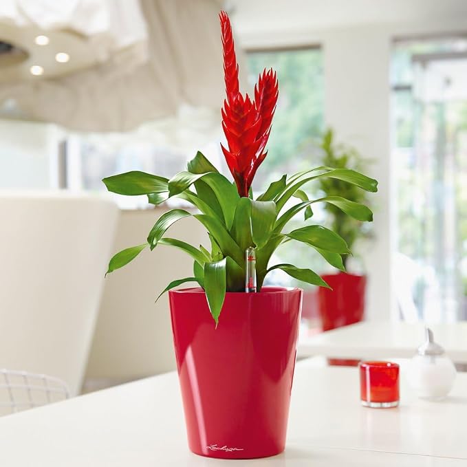 Lechuza MINI-DELTINI Scarlet Red High Gloss, Self-Watering Small Indoor Planter - Image 9