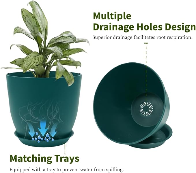 Plant Pots 8 Inch Set of 6, Flower Pots - Image 3