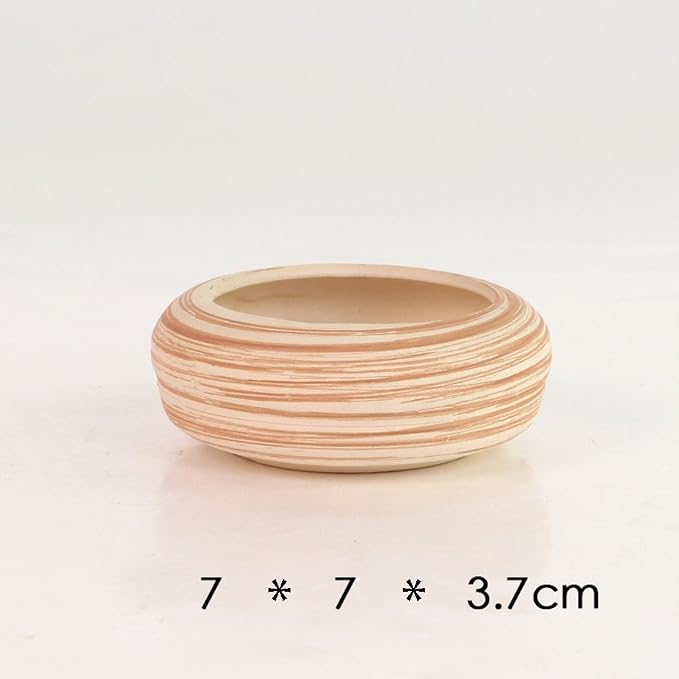 Sun-E 6 in Set 7.6 cm Ceramic Wooden Pattern Succulent Plant Pot Cactus Plant - Image 8