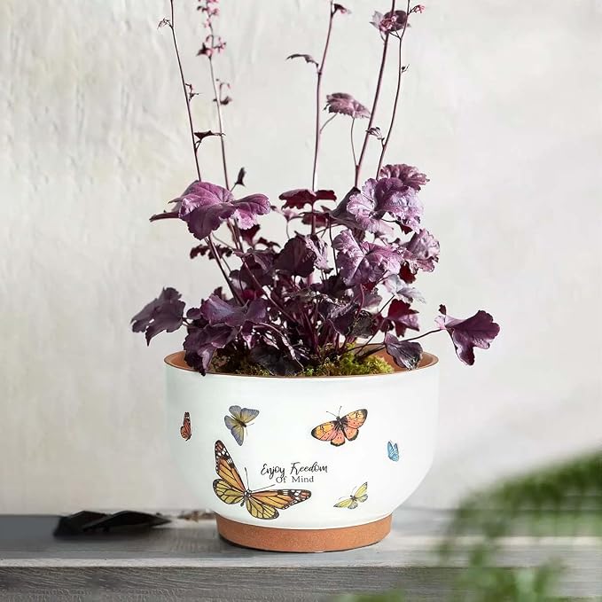 YBX 8 Inch + 6 Inch Terracotta Plant Pots, Flower Pots - Image 3