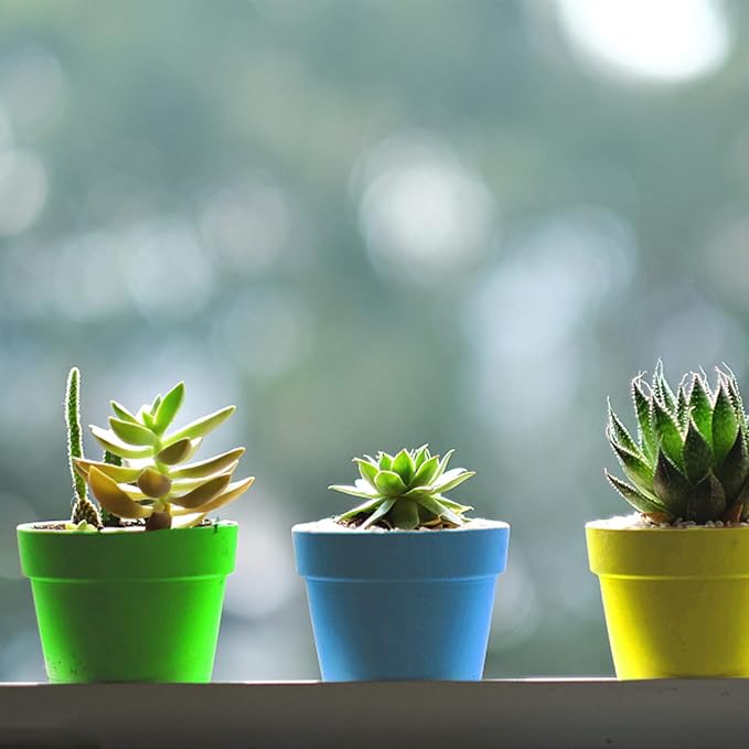 PURPLE STAR 1N 25 Packs Cupcake Plant Nursery Pots - Image 6