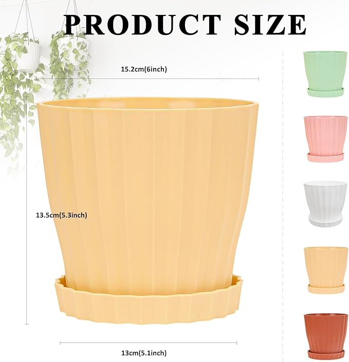 6 inch Flower Pots for Plants - Image 5