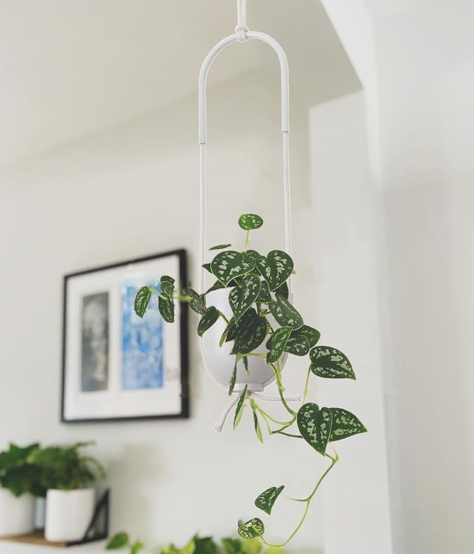 Boho Hanging Planter for Indoor Outdoor Plants Modern Wall and Ceiling Hanging - Image 6