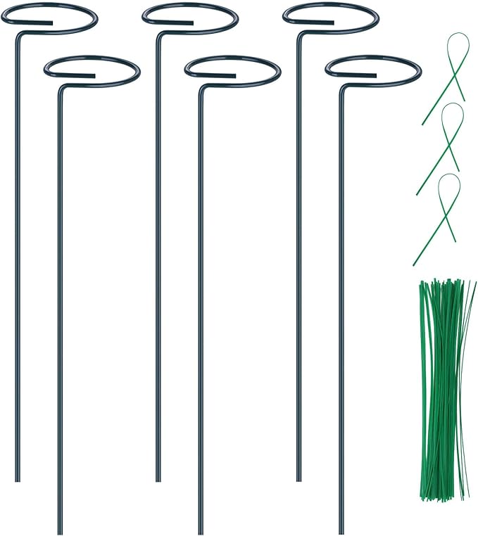6PCS Single Stem Plant Support Stakes, 16 Inch Monstera Plant Support by Numyew