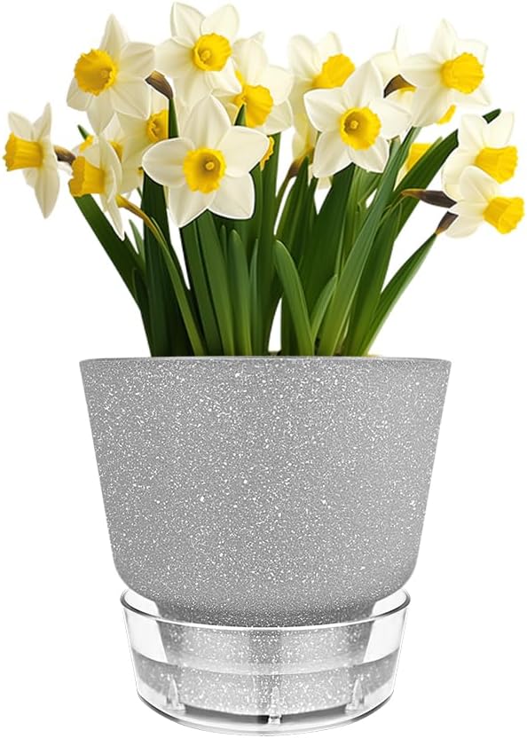 Plant Pots - 6" Orchid Pot, 5 Pack Orchid Pots - Self Watering Pots - Image 3