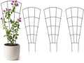 4 Pack 56'' Indoor Plant Trellis by ThealynGardens