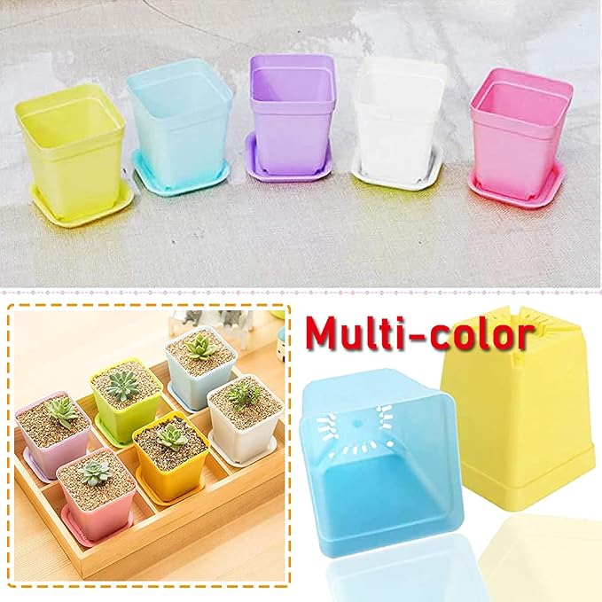 Haawooky 48 PCS 3 Inch Colorful Plastic Plant Pot, Plastic Square Nursery Pots - Image 6
