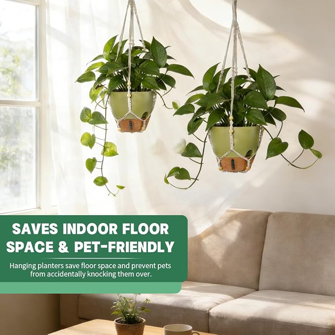 Self-Watering Hanging Planters for Indoor Plants Set 2-Piece Includes Plant - Image 4