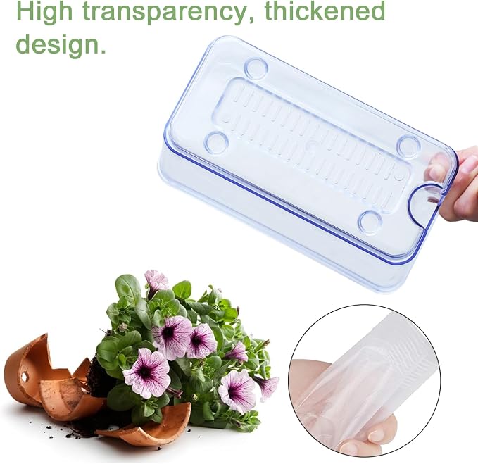Self Watering Planters - Image 3