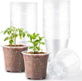 60 Pack 6 Inch Clear Nursery Pots by RooTrimmer