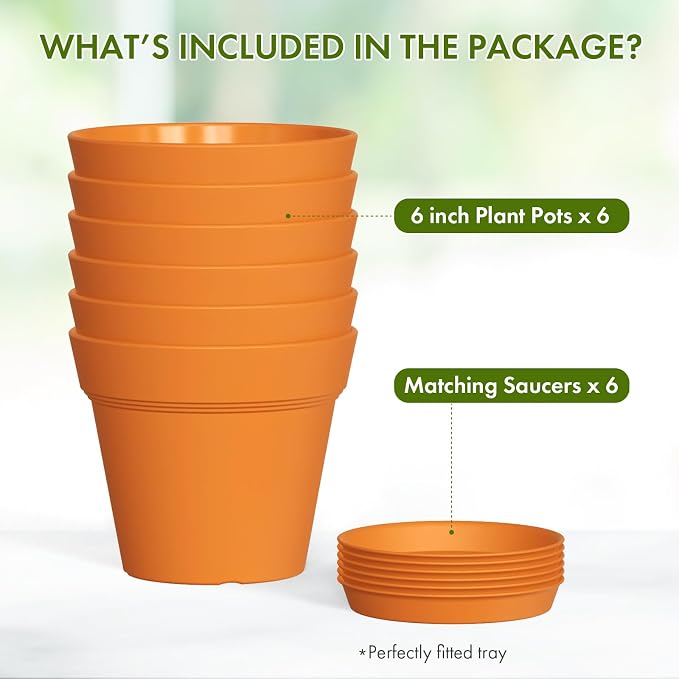 6 Inch Thick Plastic Plant Pots - Image 5