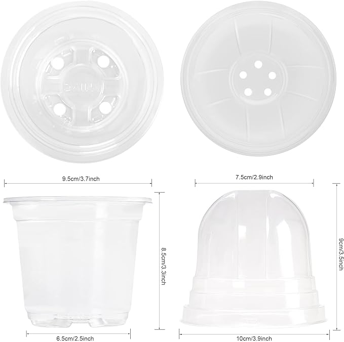 MIXC Clear Plant Nursery Pots - Image 3