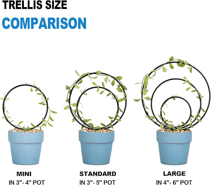 Hoya Trellis Set of 3 Round Climbing Plant Supports - Image 2