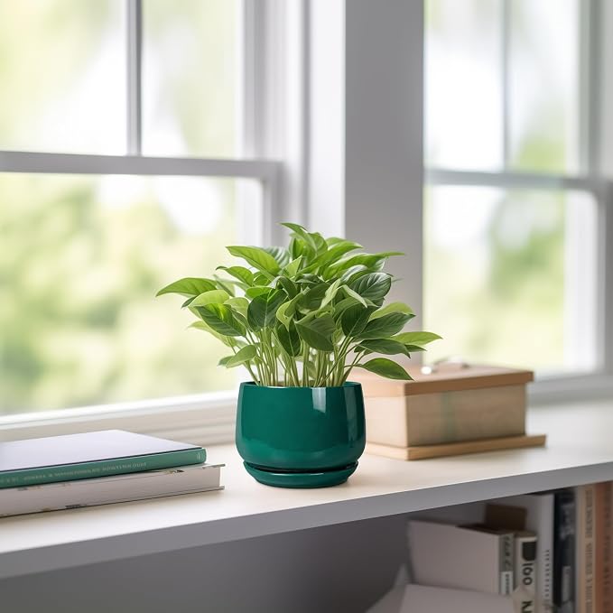 G EPGardening 4 inch Plant Pots - Image 6