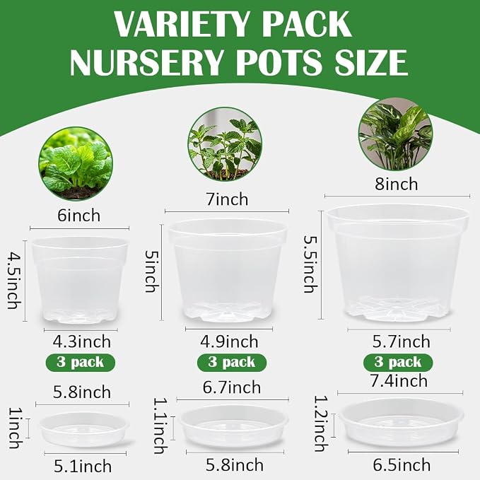 9 Pack 8/7/6 Inch Clear Nursery Pots - Image 2