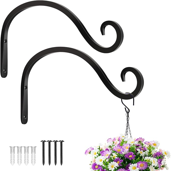 BOLITE Plant Hangers Outdoor Indoor, 12 Inch Wall Plant Hooks, Metal Bird by Bolite