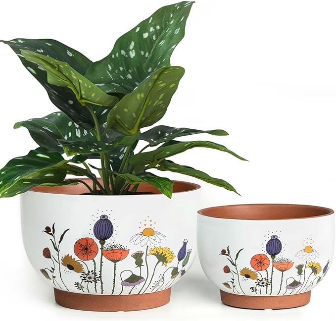 YBX 8 Inch & 6 Inch Terracotta Plant Pots, Flower Pots by YBXYIBOXUAN