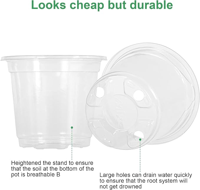 MIXC Clear Plant Nursery Pots - Image 5