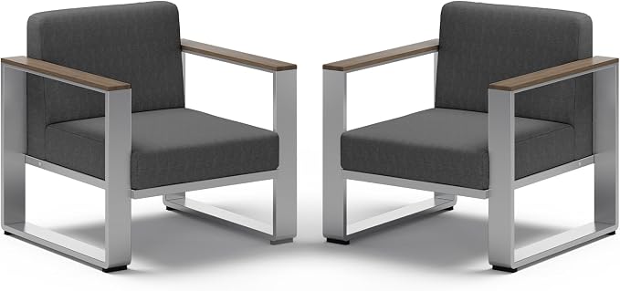 2 Pieces Outdoor Aluminum Armchair, Modern Patio Patio Furniture by ComfCove