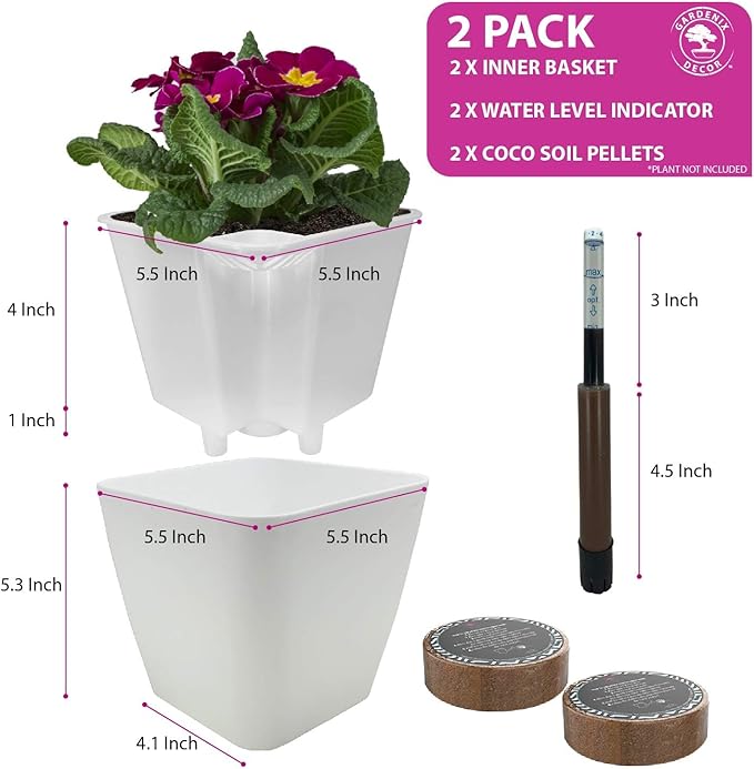 GARDENIX DECOR 5" Self Watering pots - Image 5