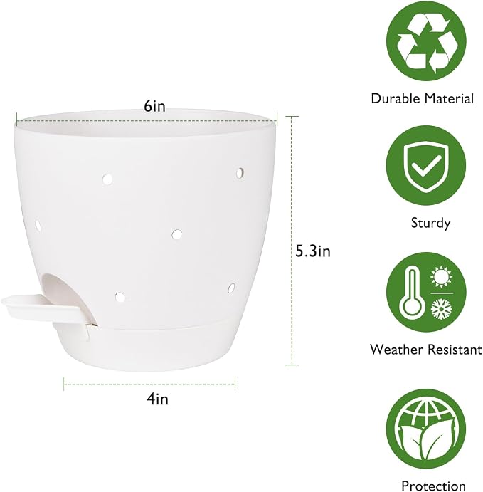 6 Inch Orchid Pots with Holes, 2 Pack Self Watering Planters - Image 4