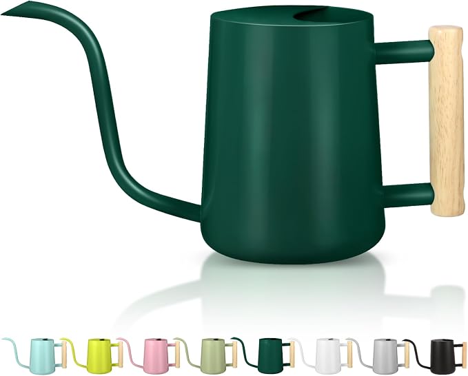 Watering Can Indoor Plants, 35oz Small Indoor Stainless Steel Metal Watering by GUKJOB