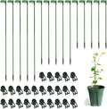 30 Pcs Plant Support Stakes by LUCKJUJU