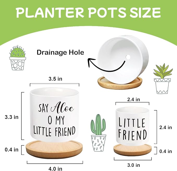 Say Aloe to My Little Friend Planter Pot, Funny Plant Pots, Aloe Plant Pot - Image 2
